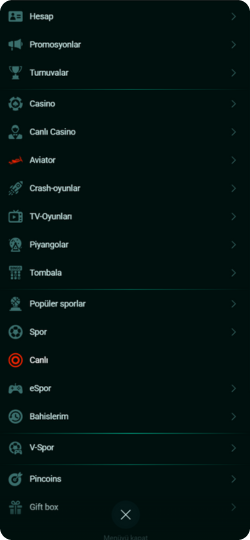 Pinco Menyu və Kateqoriyalar